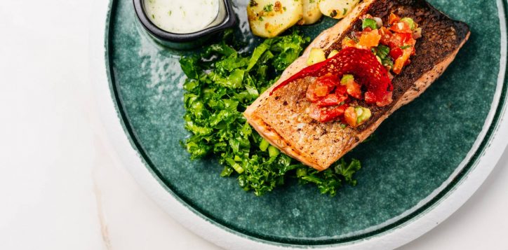 salmon-anet-_1