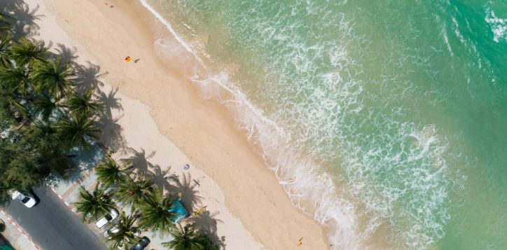 top-view-coconut-palm-trees-patong-beach-phuket-thailand-2